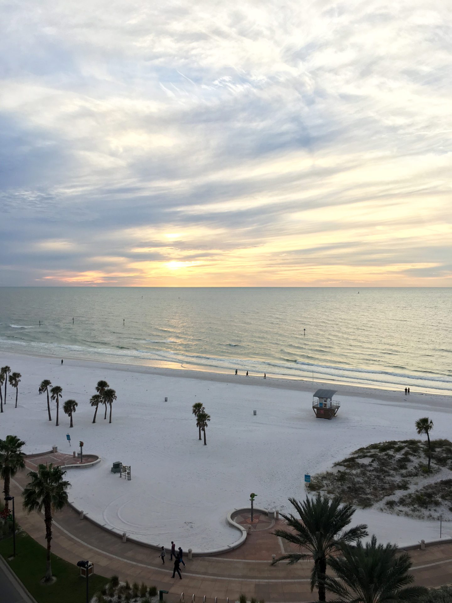 Clearwater Beach Florida Hyatt