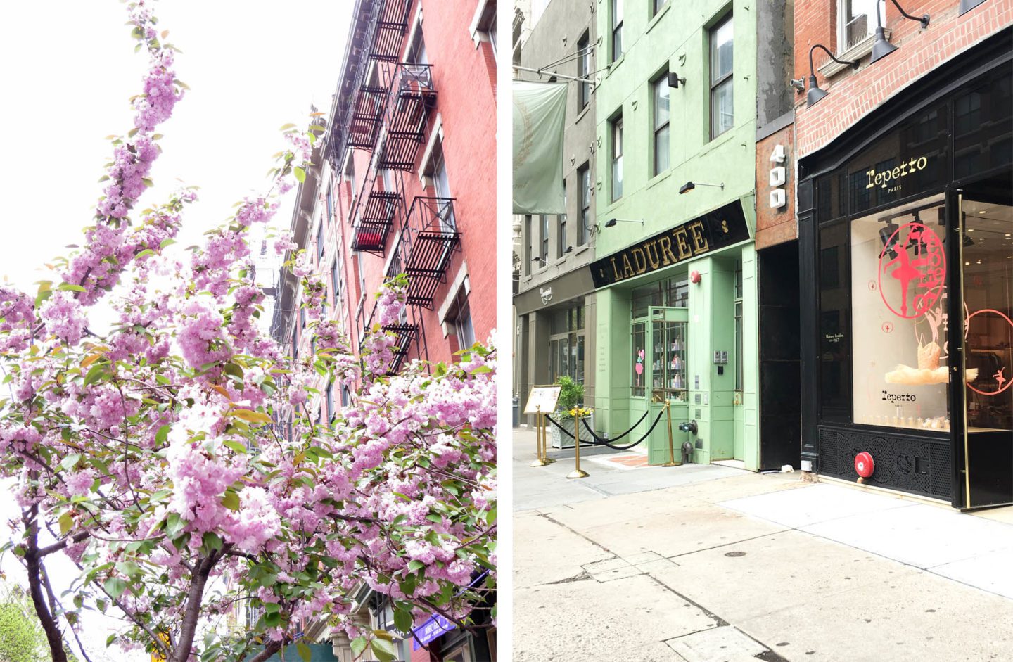 Soho Springtime NYC | Skin Glow Find