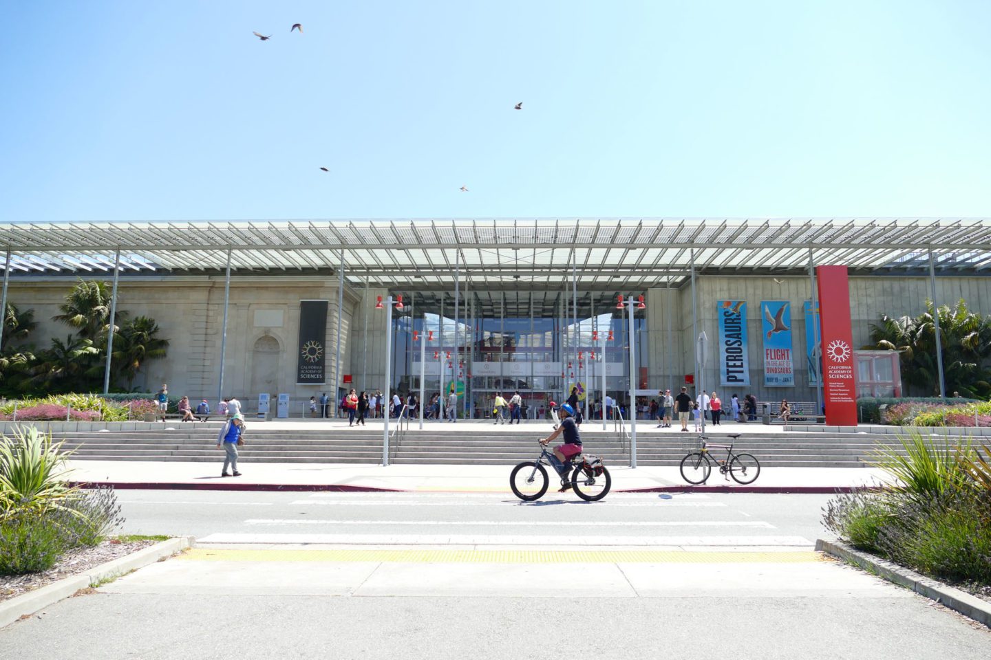 California Academy of Sciences