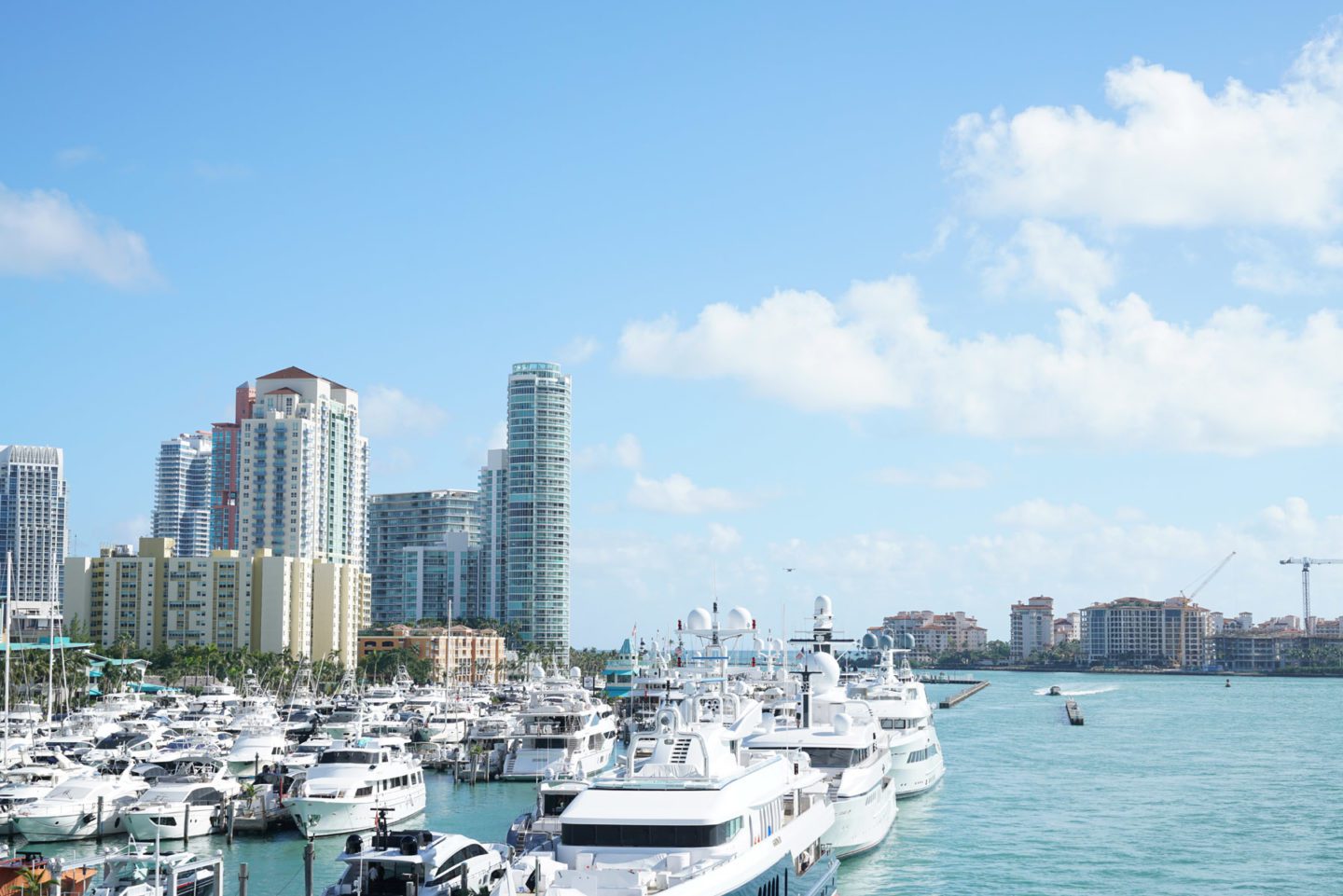 Miami Big Bus Tours View - Downtown