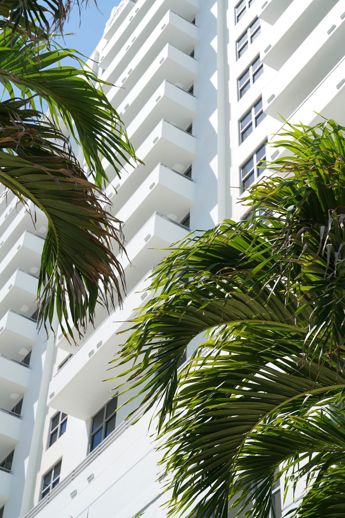 Loews Miami Beach Getaway