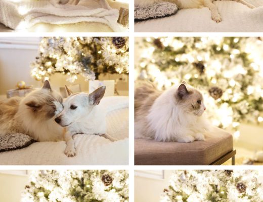Christmas 2019