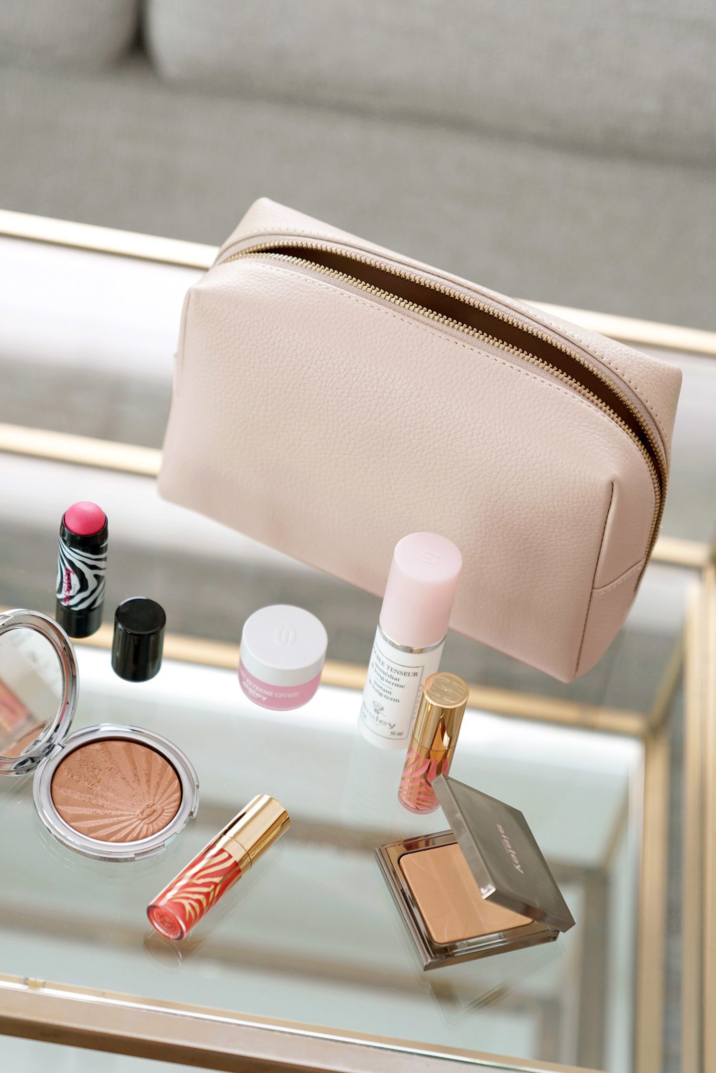 Cuyana Vanity Case Blush | Skin Glow Find