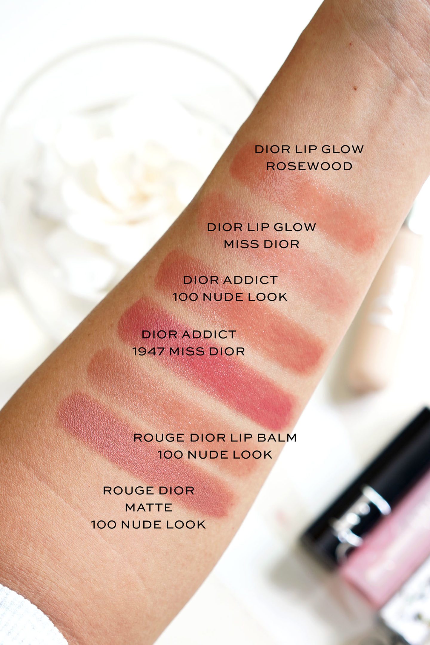 Dior Miss Dior lips vs Rosewood vs Nude Look