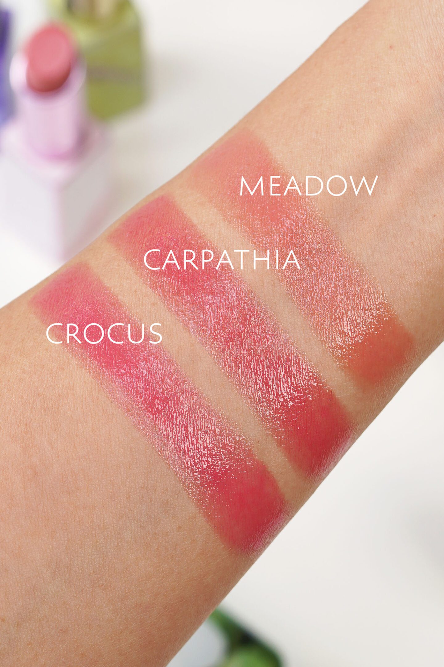 Chantecaille Wild Meadows Lip Chic 